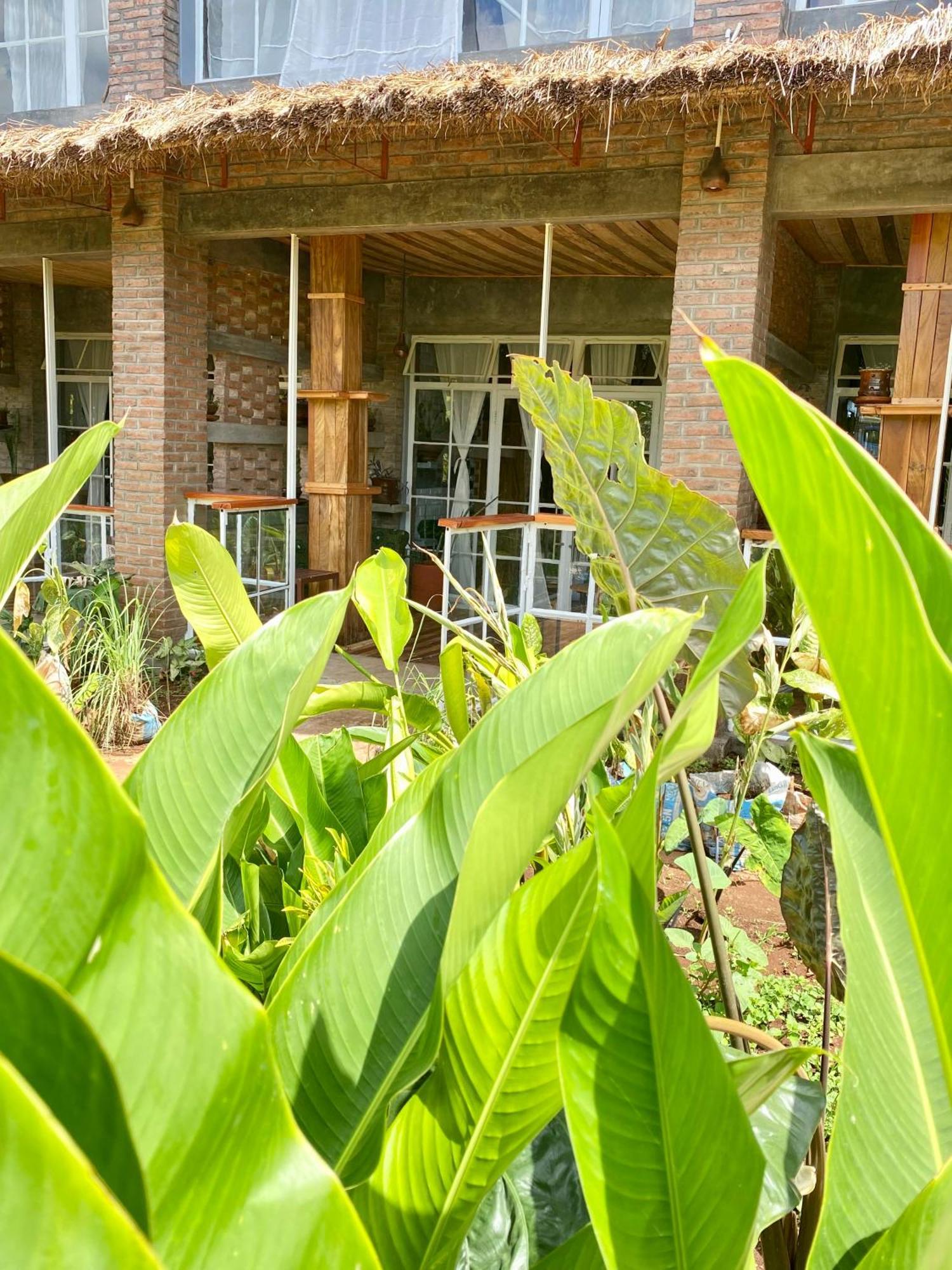 Mount Kilimanjaro 360 View Cottage Uru Exterior foto
